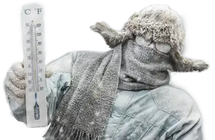 Frozen Courier Service